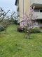 Komplett vermietetes Mehrfamilienhaus in Witten-Heven - Grundstück hinter den Häusern
