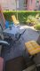 Barrierearme Wohnung mit Terrasse in Stadtparknähe - Terrasse