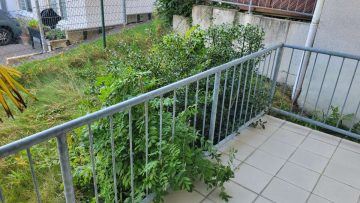 Gemütliche Kapitalanlage im Erdgeschoss eines 7 Familienhauses mit Balkon, 58452 Witten / Bommern, Wohnung