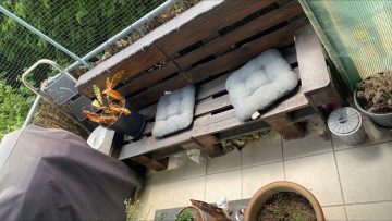 Gemütliche Kapitalanlage im Erdgeschoss eines 7 Familienhauses mit Balkon, 58452 Witten / Bommern, Wohnung