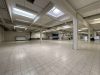 Großzügige Lagerhalle mit 80 Parkplätzen im Industriegebiet Harpener Feld - Lagerhalle rechte Seite