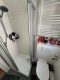 Sonnige 2-Zimmer-Wohnung mit 56 m² Wohnfläche im 1. Obergeschoss in Witten - Badezimmer mit Dusche.jpg