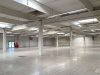 Großzügige Lagerhalle mit 80 Parkplätzen im Industriegebiet Harpener Feld in Bochum - Halle rechts Richtung Fluc.jpg